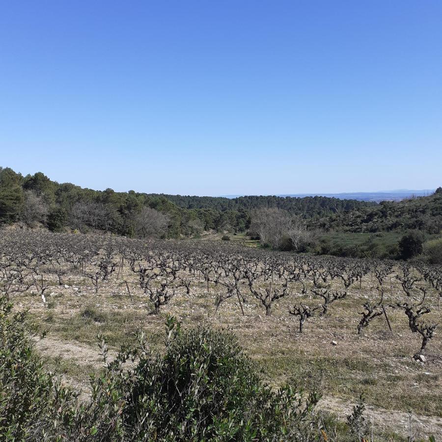 Les Deux Arches Bed and Breakfast Caunes-Minervois Esterno foto